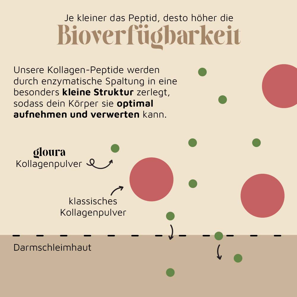 Kollagen Pulver – 500g